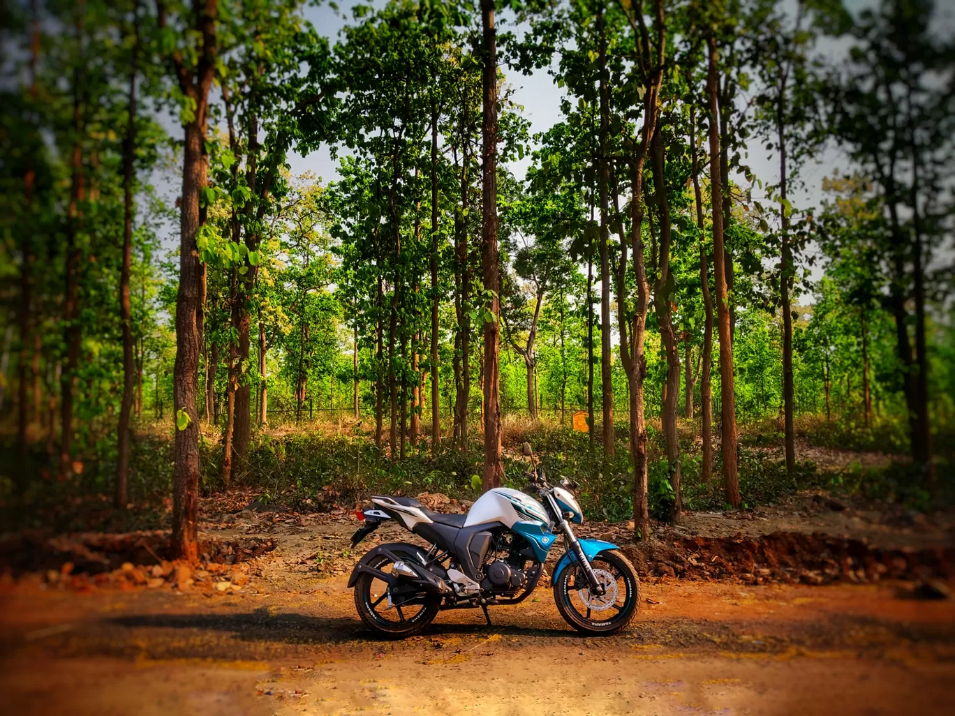 Photo of Joypur Forest Rest House By Animesh Das