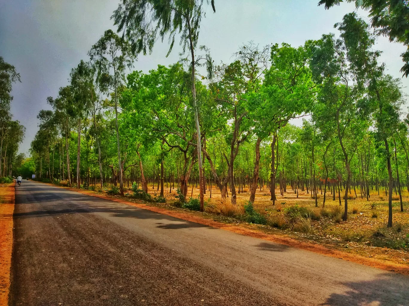 Photo of Joypur Forest Rest House By Animesh Das