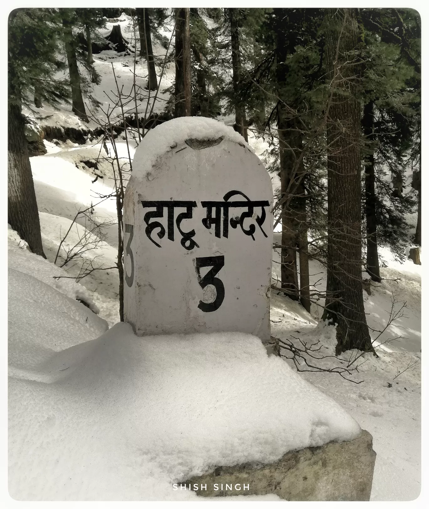 Photo of Narkand By Shish Ranjan Singh