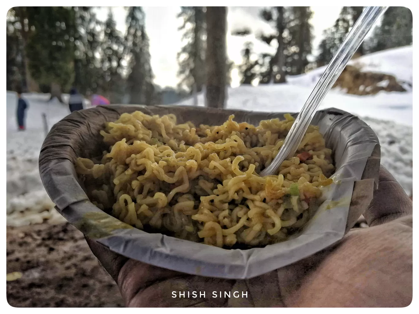 Photo of Narkand By Shish Ranjan Singh