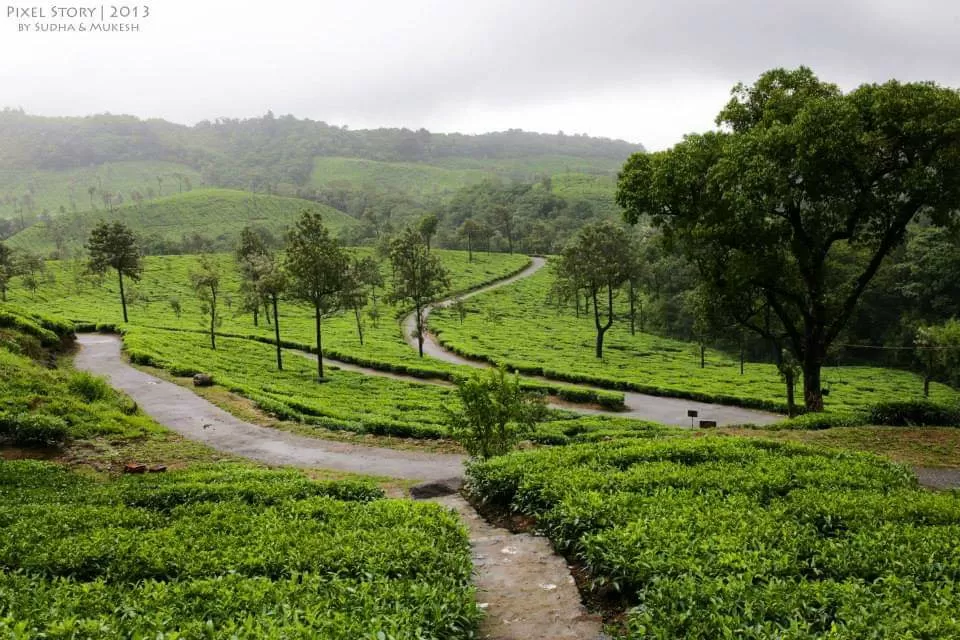 Photo of Sinnadorai Bungalow Kadamane Tea Estate By Sudha and Mukesh Travelography