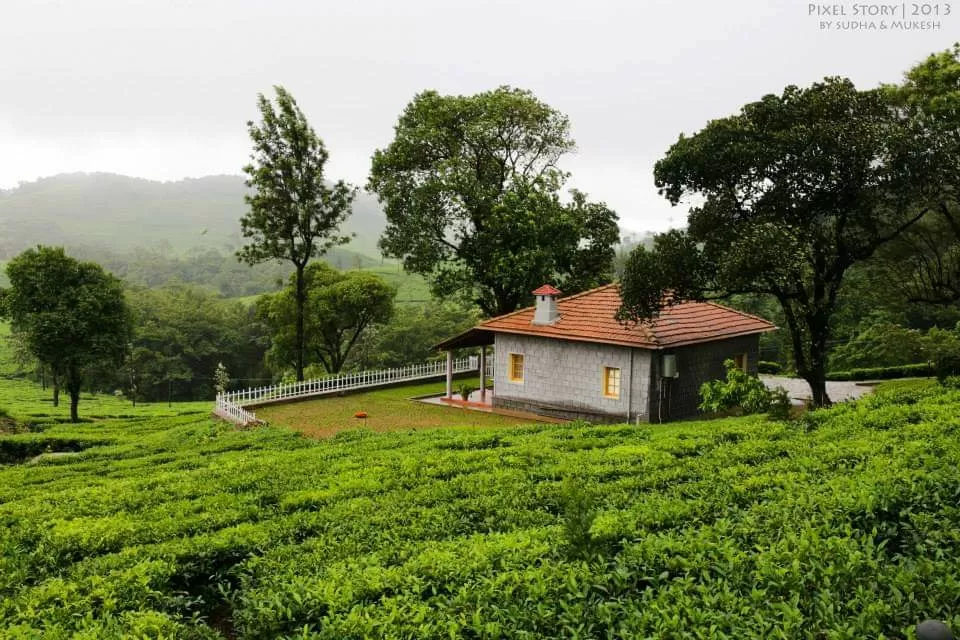 Photo of Sinnadorai Bungalow Kadamane Tea Estate By Sudha and Mukesh Travelography