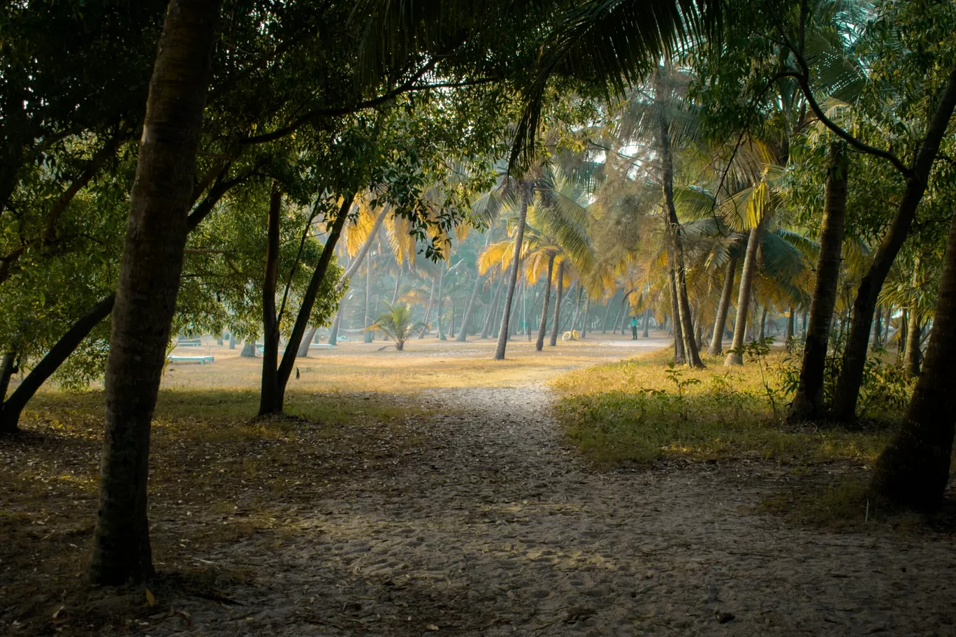 Photo of Fort Kochi By James Fotografia