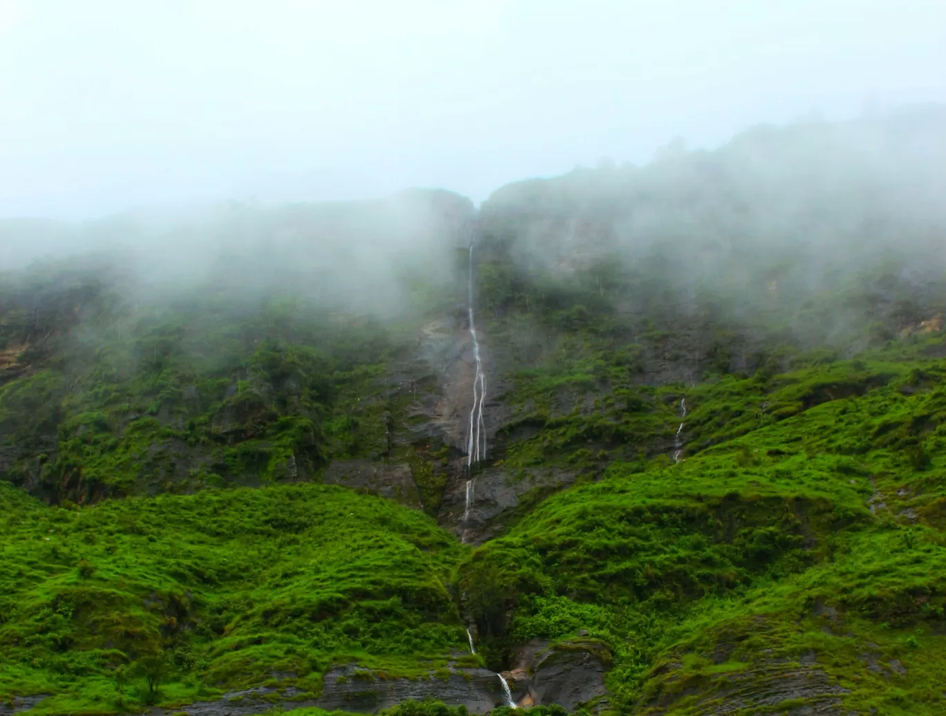 Photo of Benital By Jhanvi