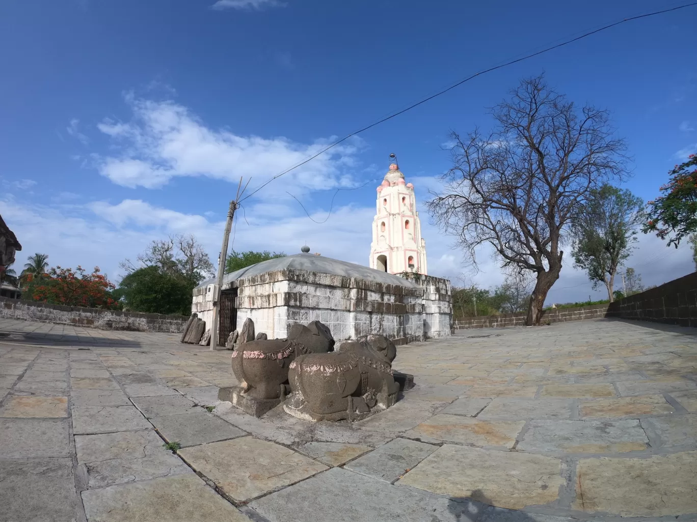 Photo of Mudhale By Ramnath Raval