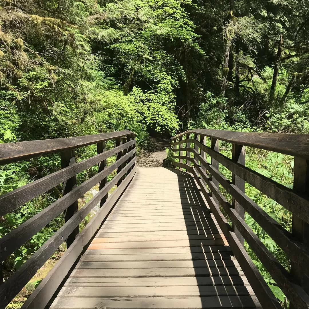 Photo of Wallace Falls State Park By Anuja Saraogi