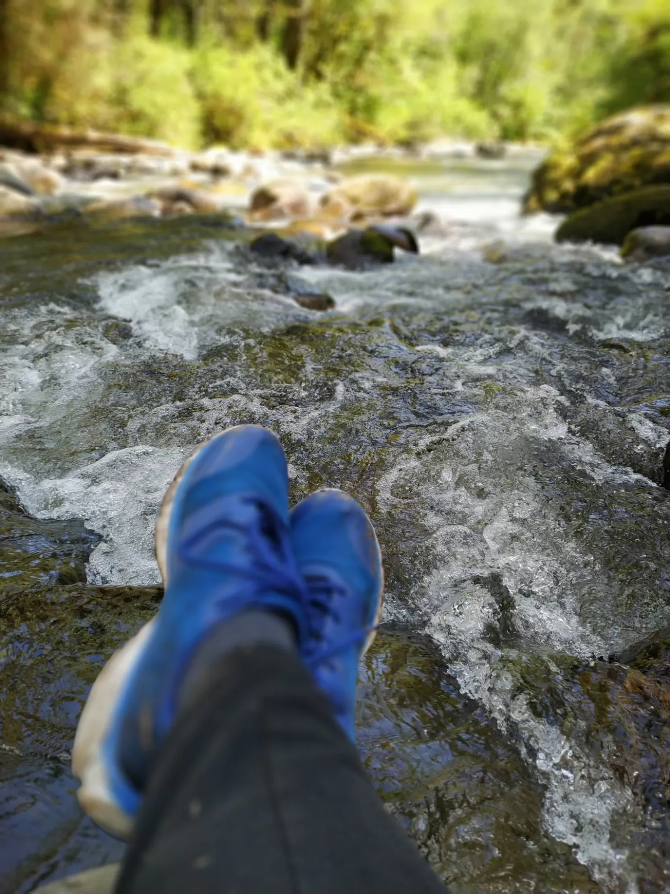 Photo of Wallace Falls State Park By Anuja Saraogi