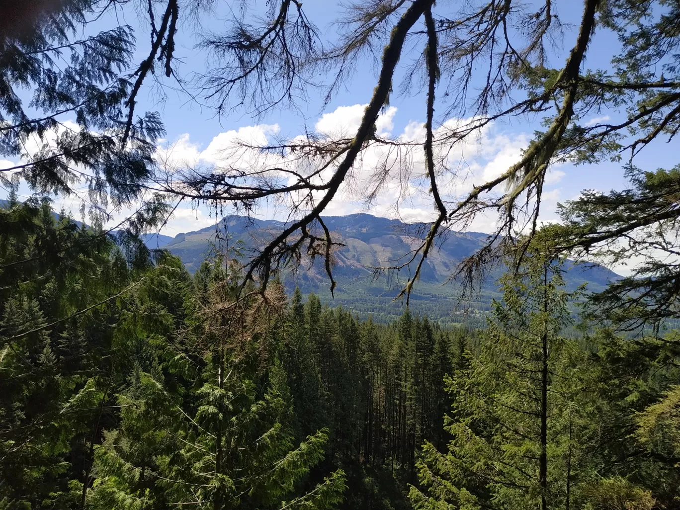 Photo of Wallace Falls State Park By Anuja Saraogi