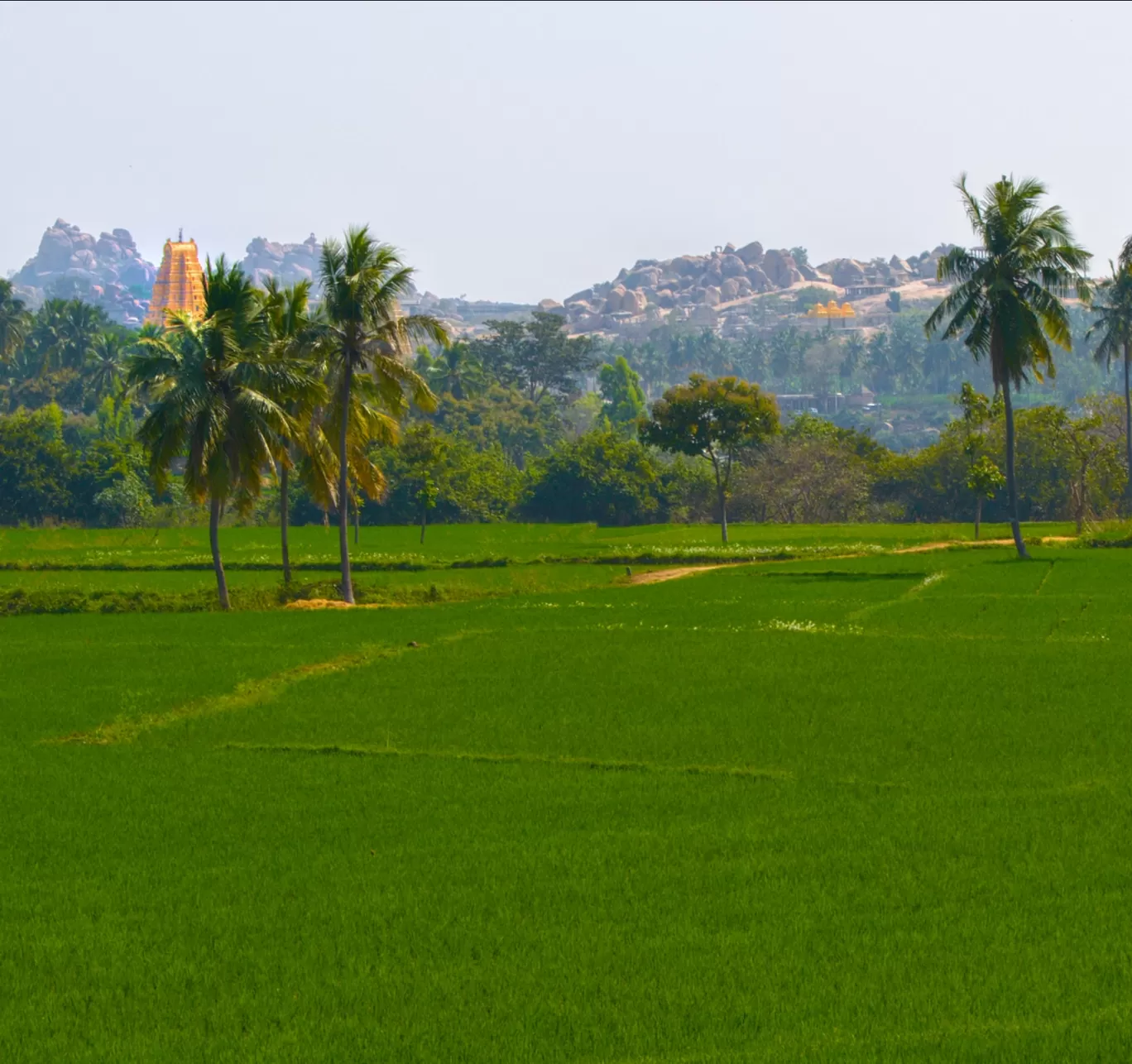 Photo of Hampi By nitish alodia