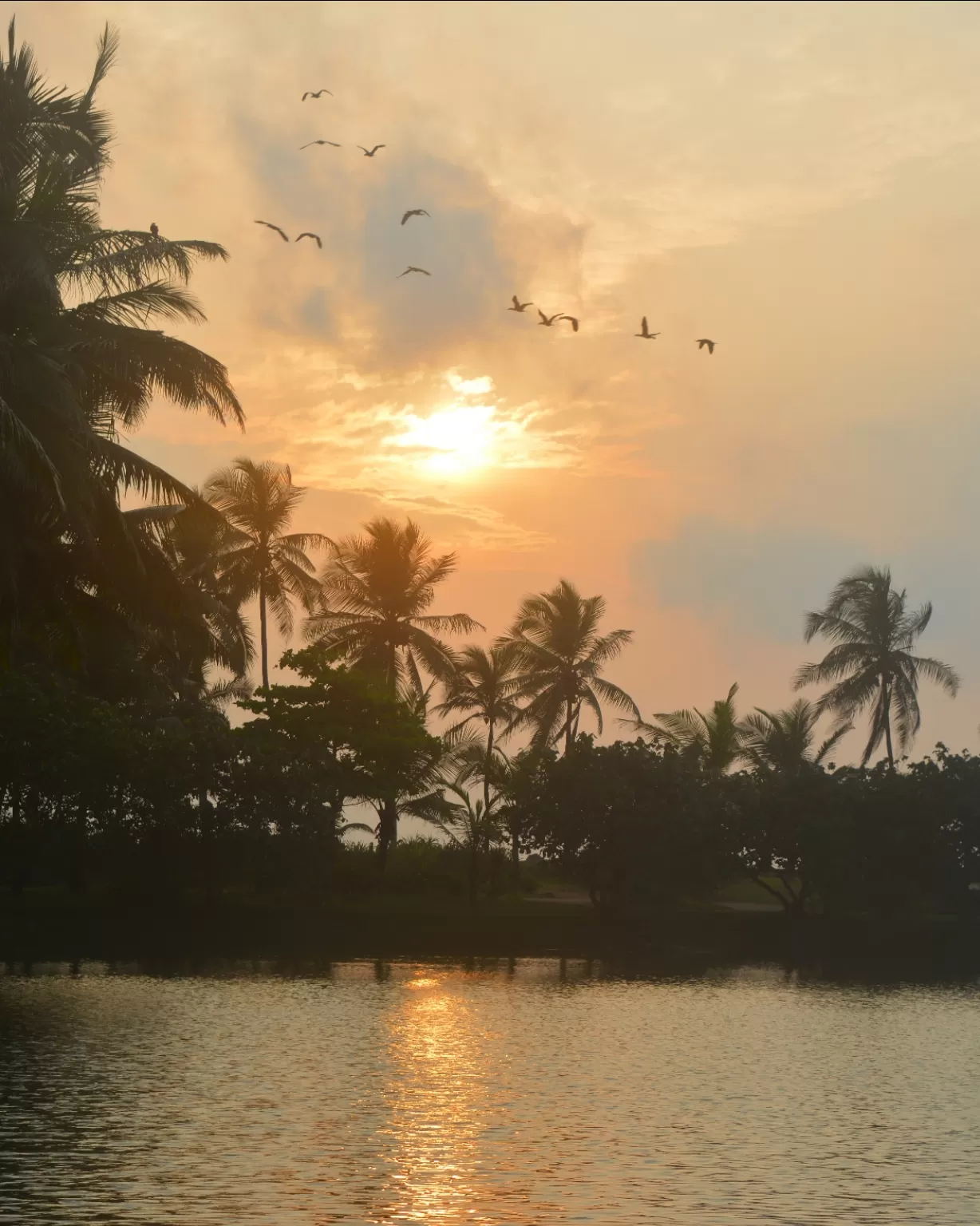 Photo of Kerala By nitish alodia