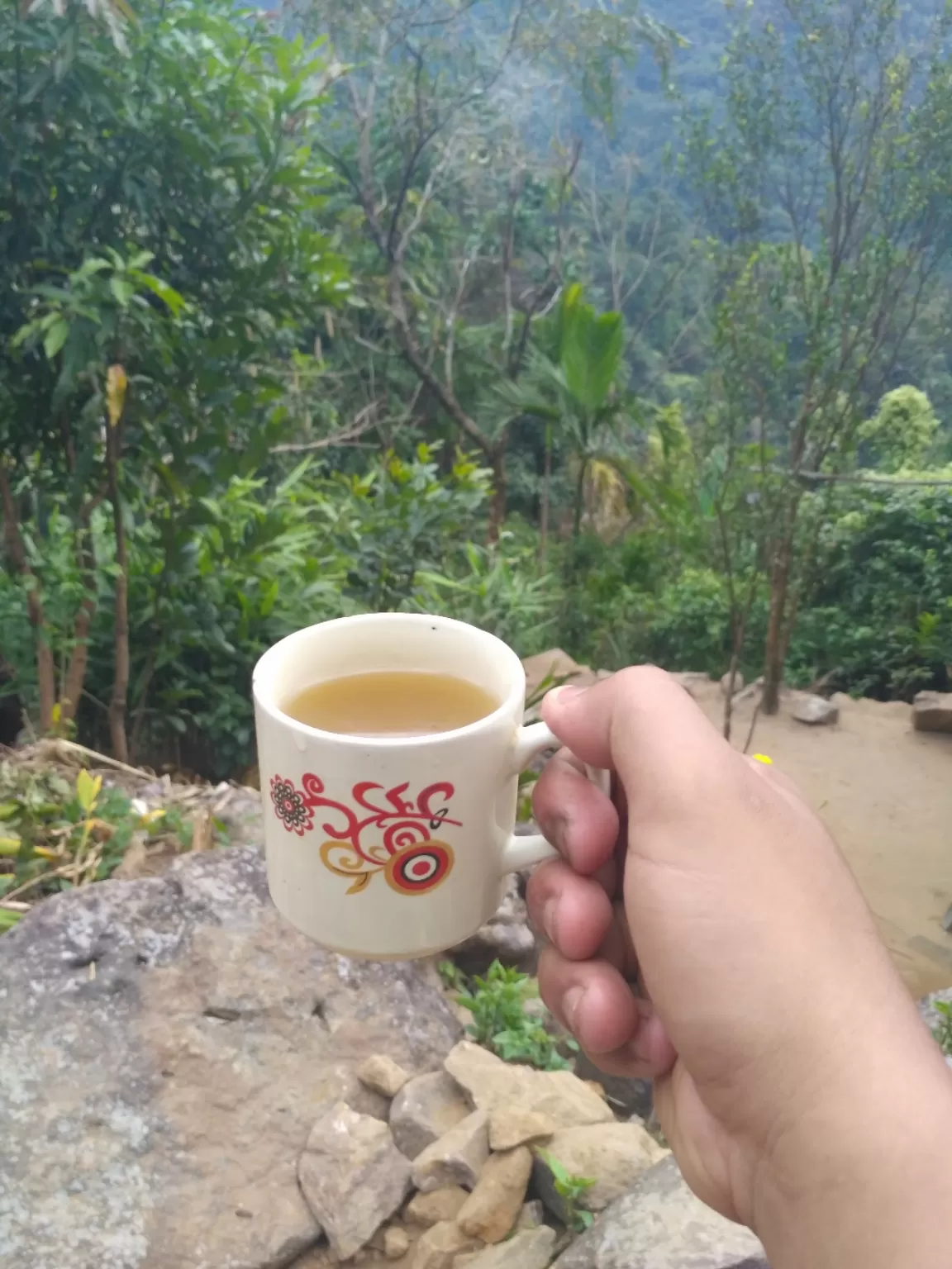 Photo of Double Decker Living Root Bridge By Jyotiraditya Chetia