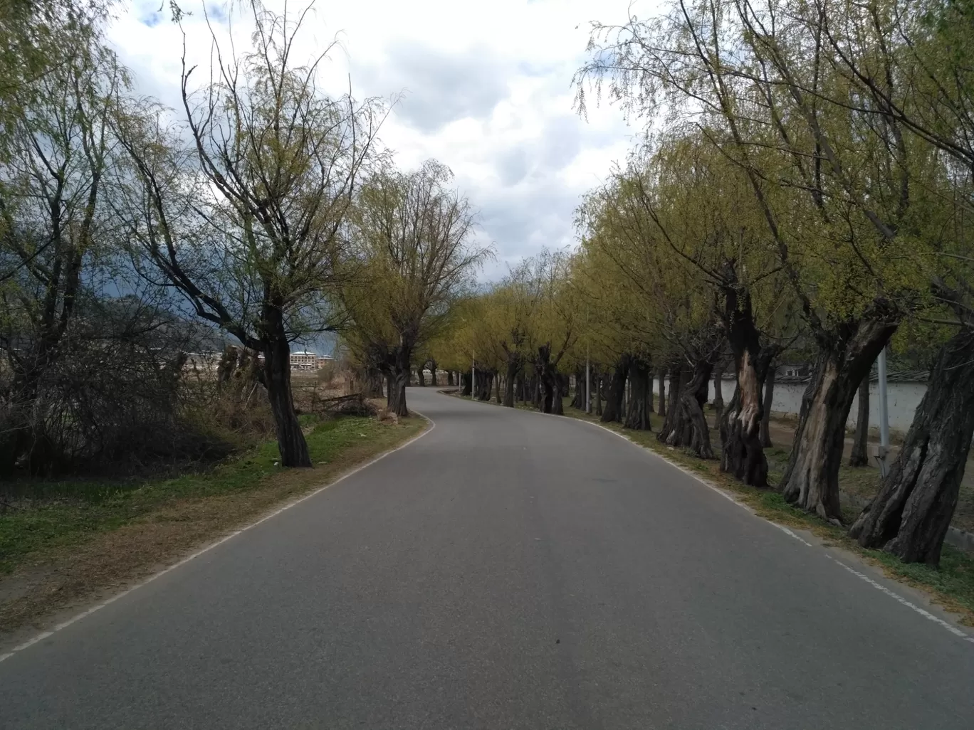 Photo of Bhutan By Jyotiraditya Chetia