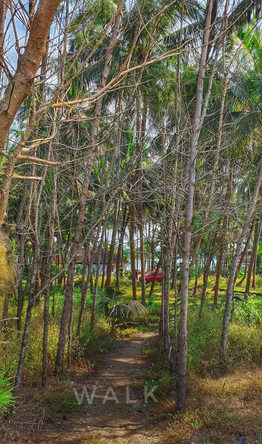 Photo of Kavvayi Island camp By navin tampi