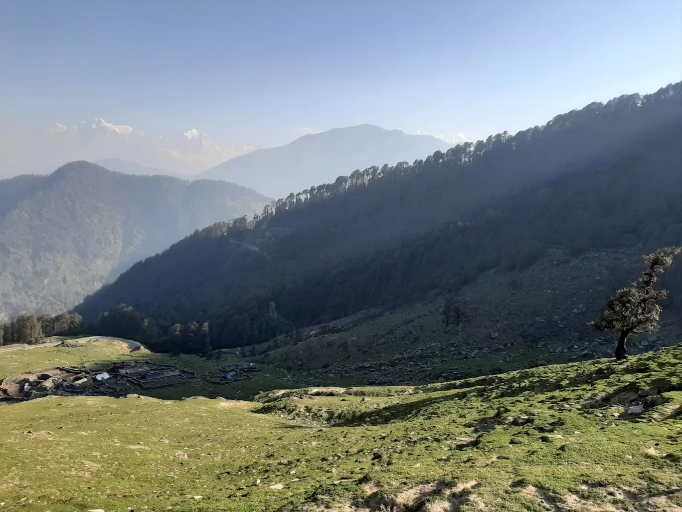 Photo of Chopta By Ankita Thakur
