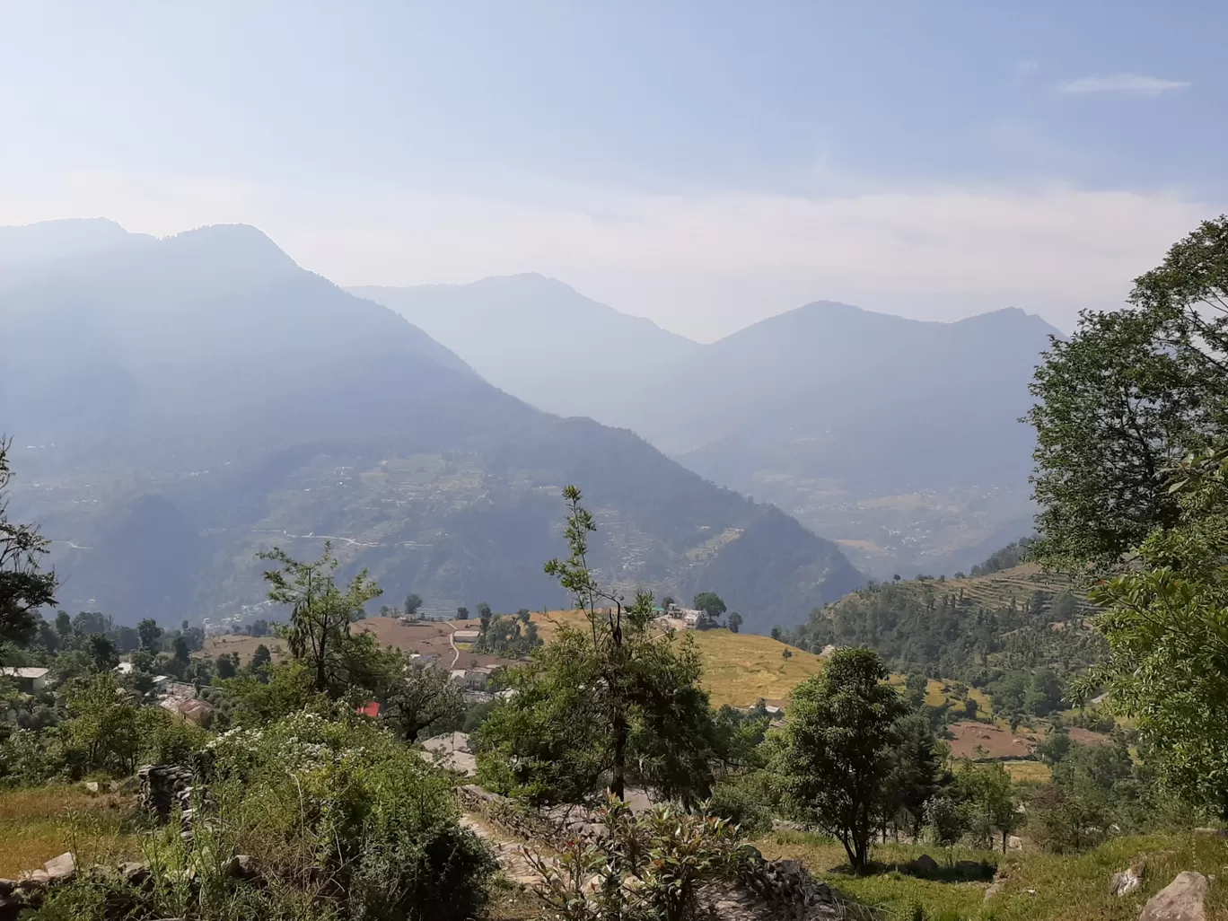 Photo of Chopta By Ankita Thakur