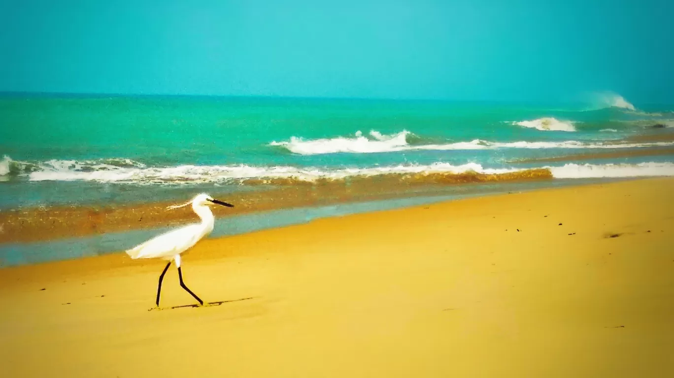 Photo of Rameswaram By arul gilbert