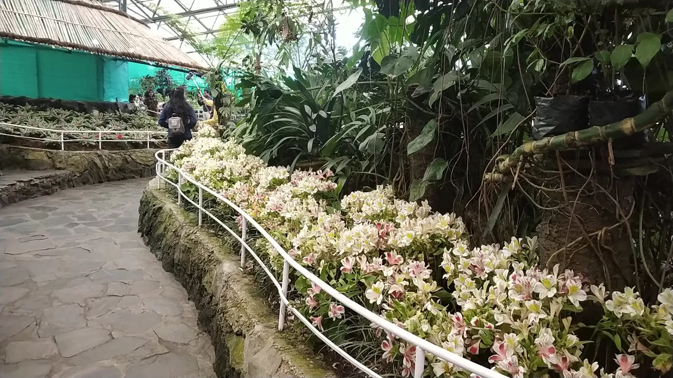 Photo of Gangtok By Aditi Anand