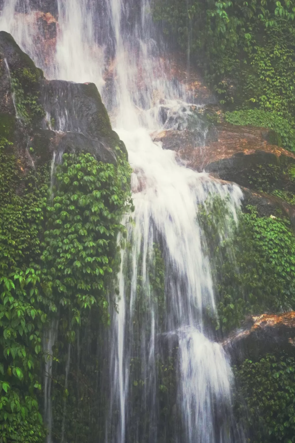 Photo of Gangtok By Aditi Anand