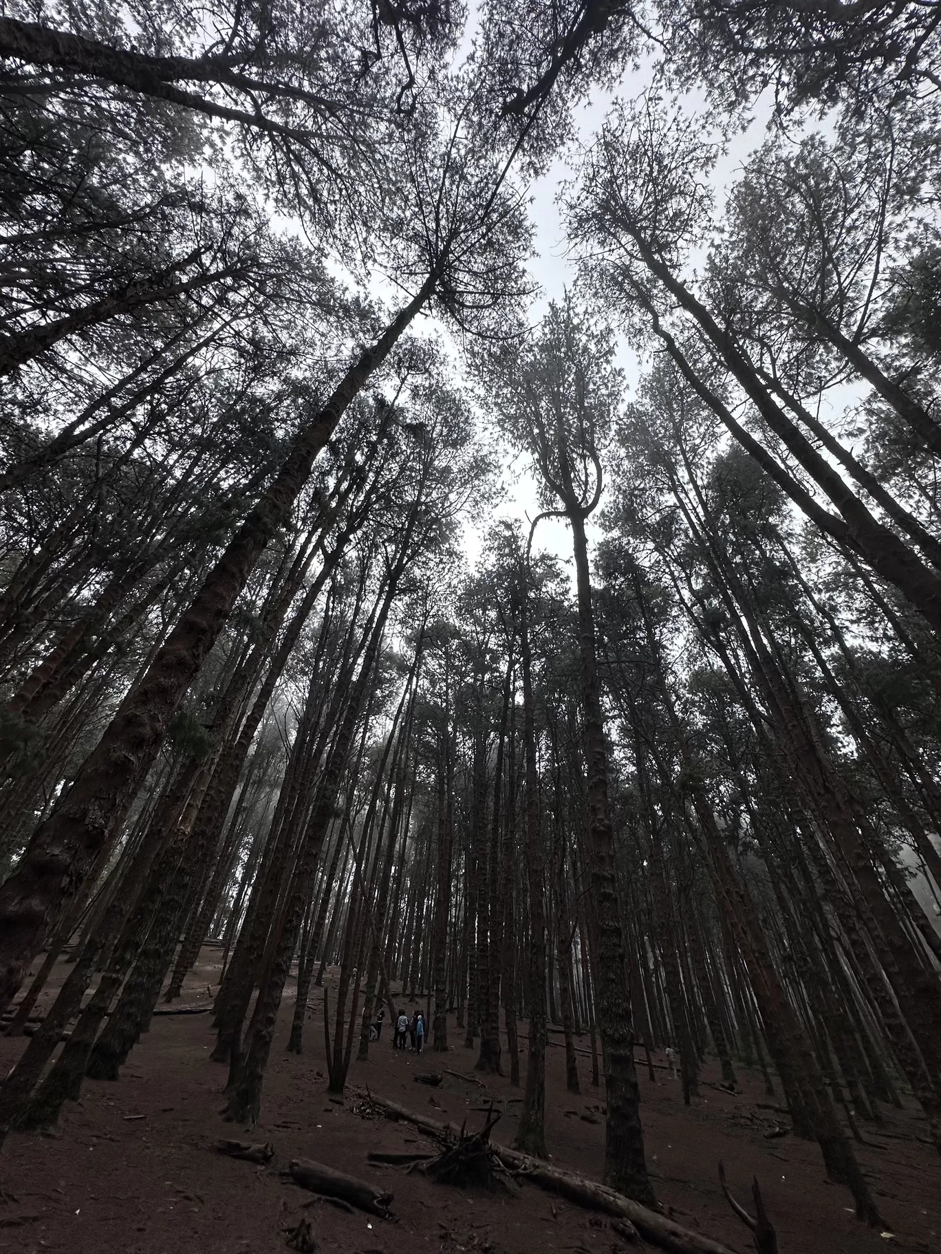 Photo of Kodaikanal By Aditi Anand