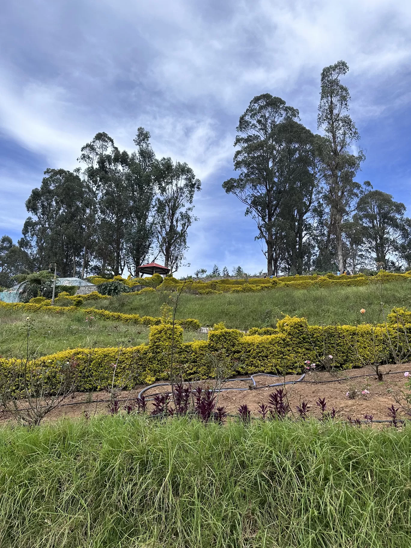 Photo of Kodaikanal By Aditi Anand
