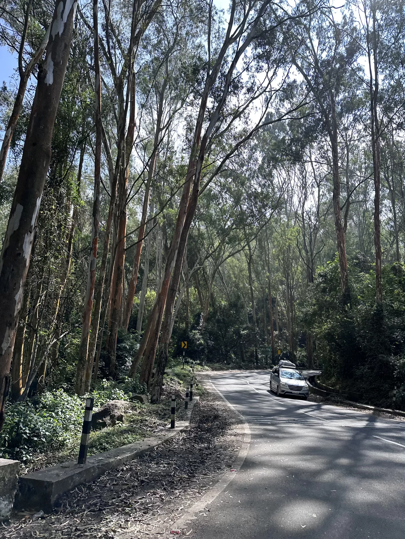 Photo of Kodaikanal By Aditi Anand