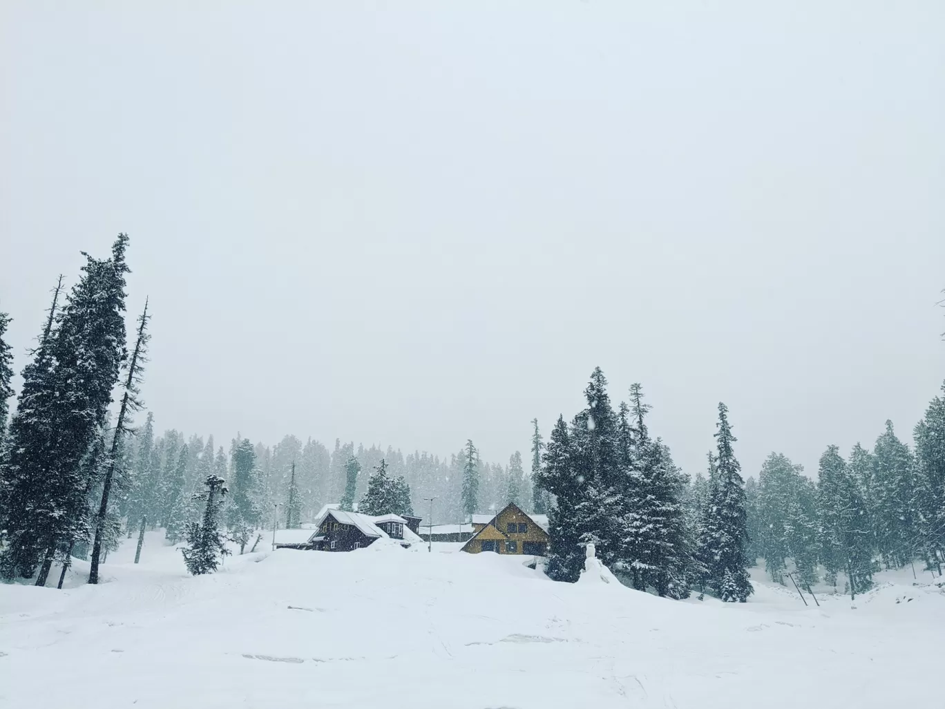 Photo of Gulmarg By roving_gal