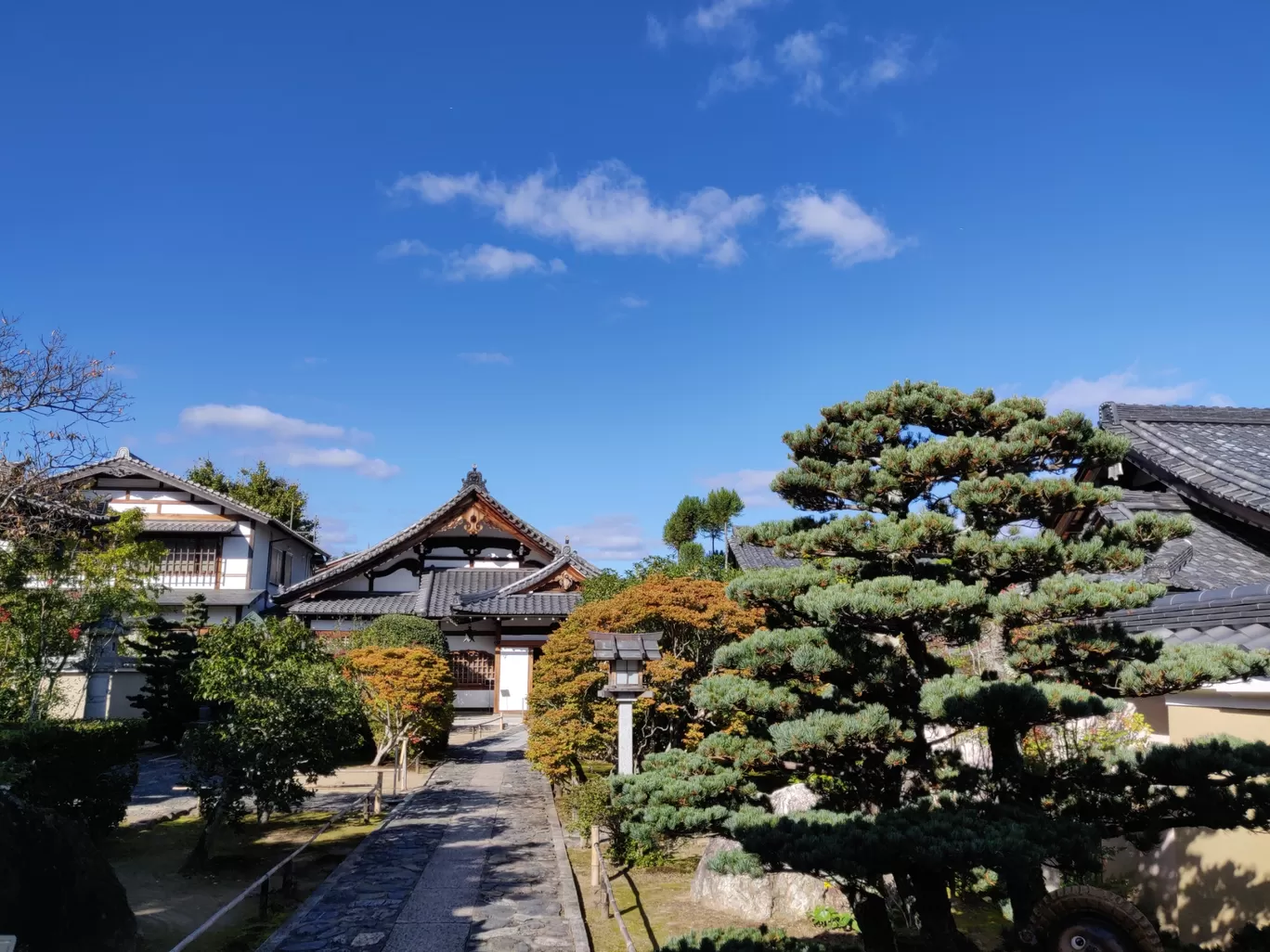 Photo of Japan By Swati Khandelwal