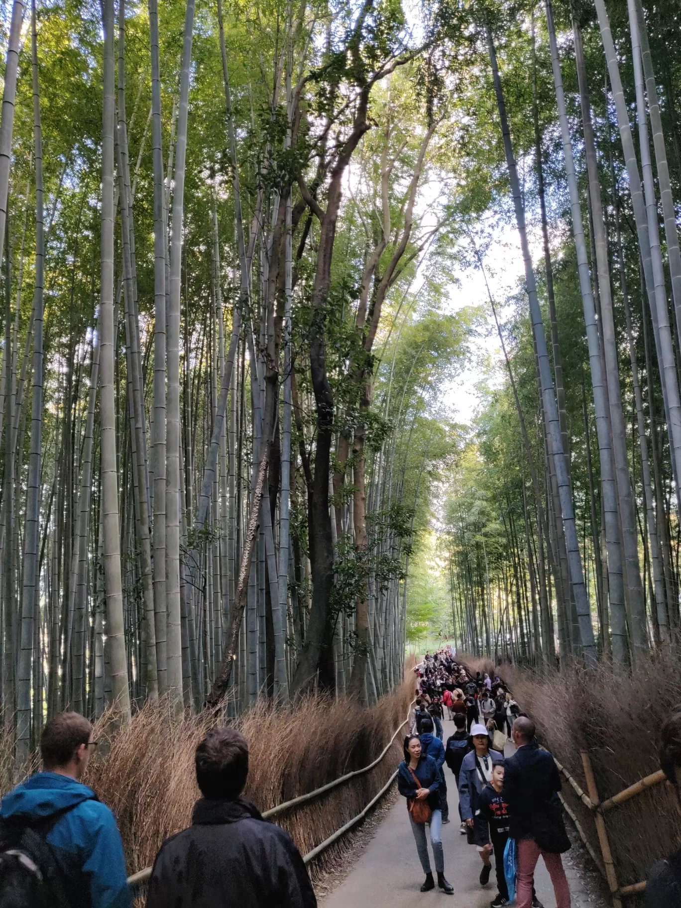 Photo of Japan By Swati Khandelwal