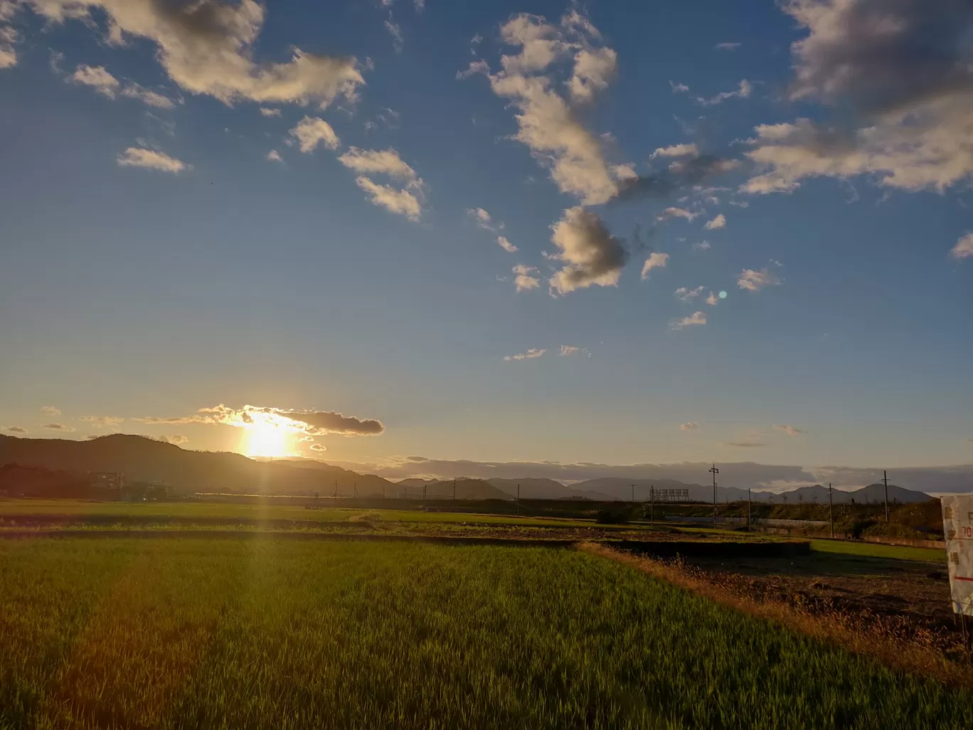 Photo of Japan By Swati Khandelwal