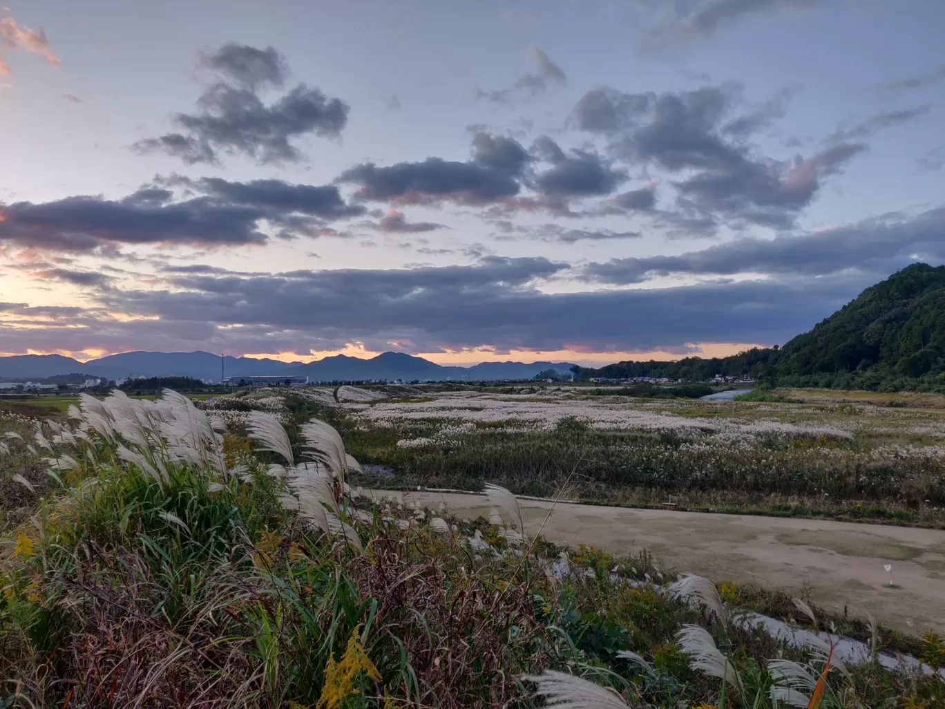 Photo of Japan By Swati Khandelwal