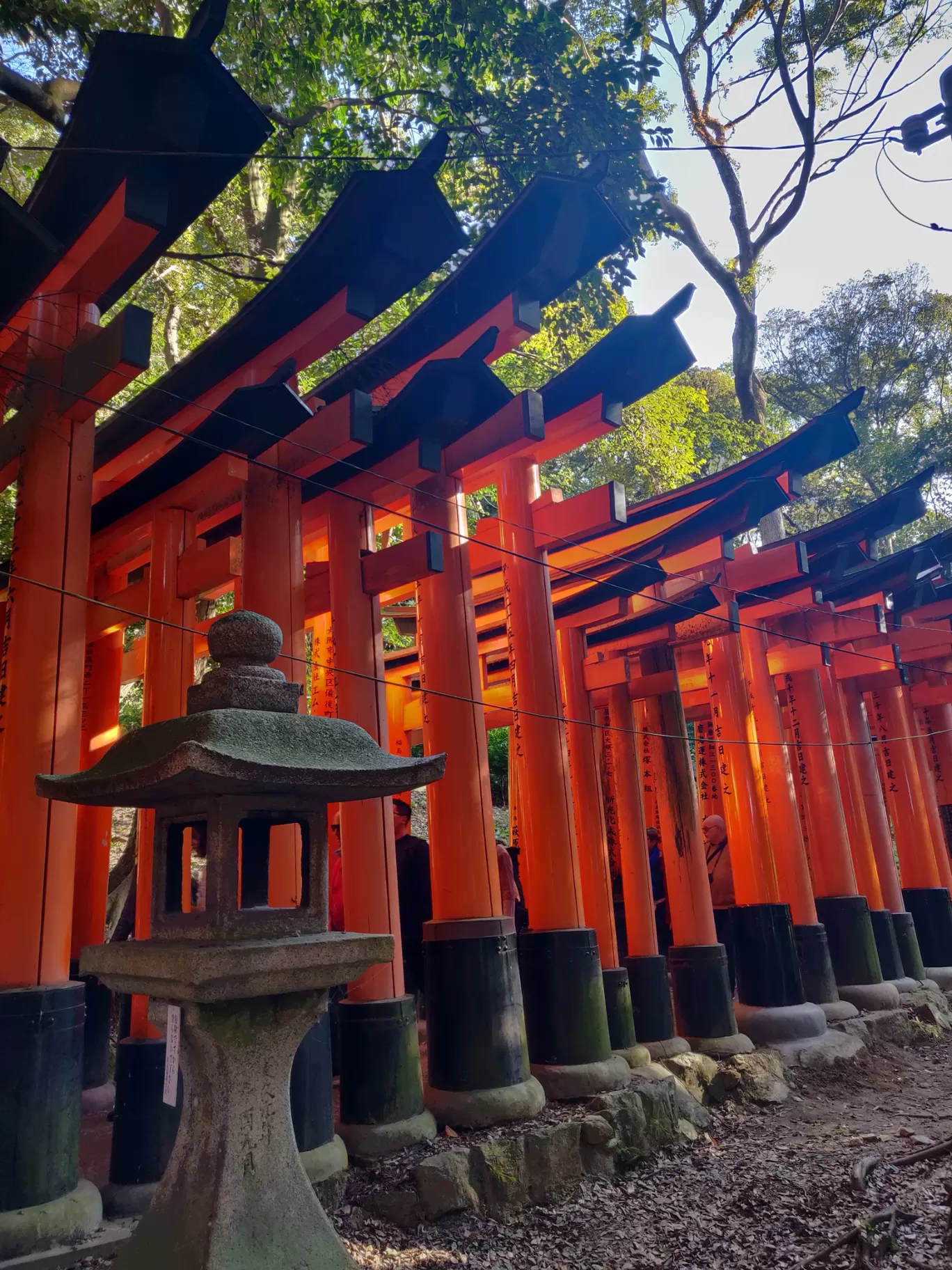 Photo of Japan By Swati Khandelwal