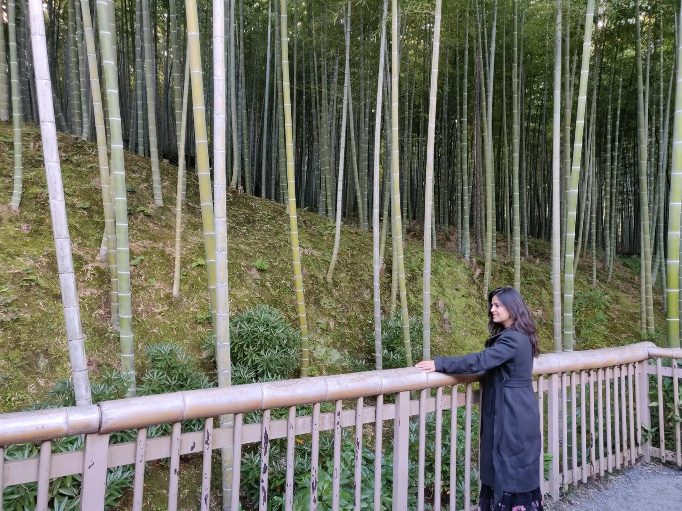 Photo of Japan By Swati Khandelwal