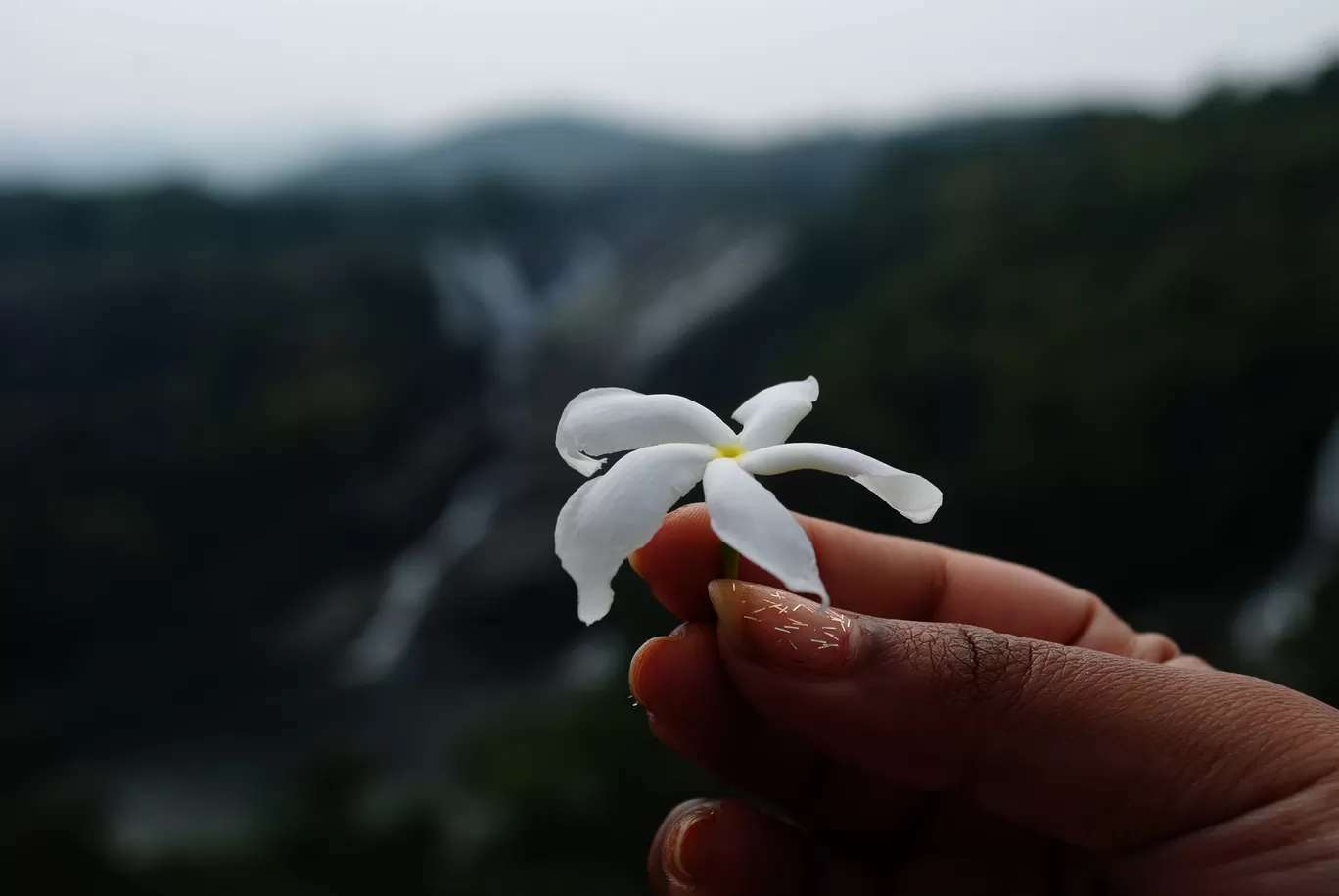 Photo of Bharachukki Falls View Point By ᗝᑌ丅ᗪᗝᗝᖇᔕᗰᗩᑎADVENTURE