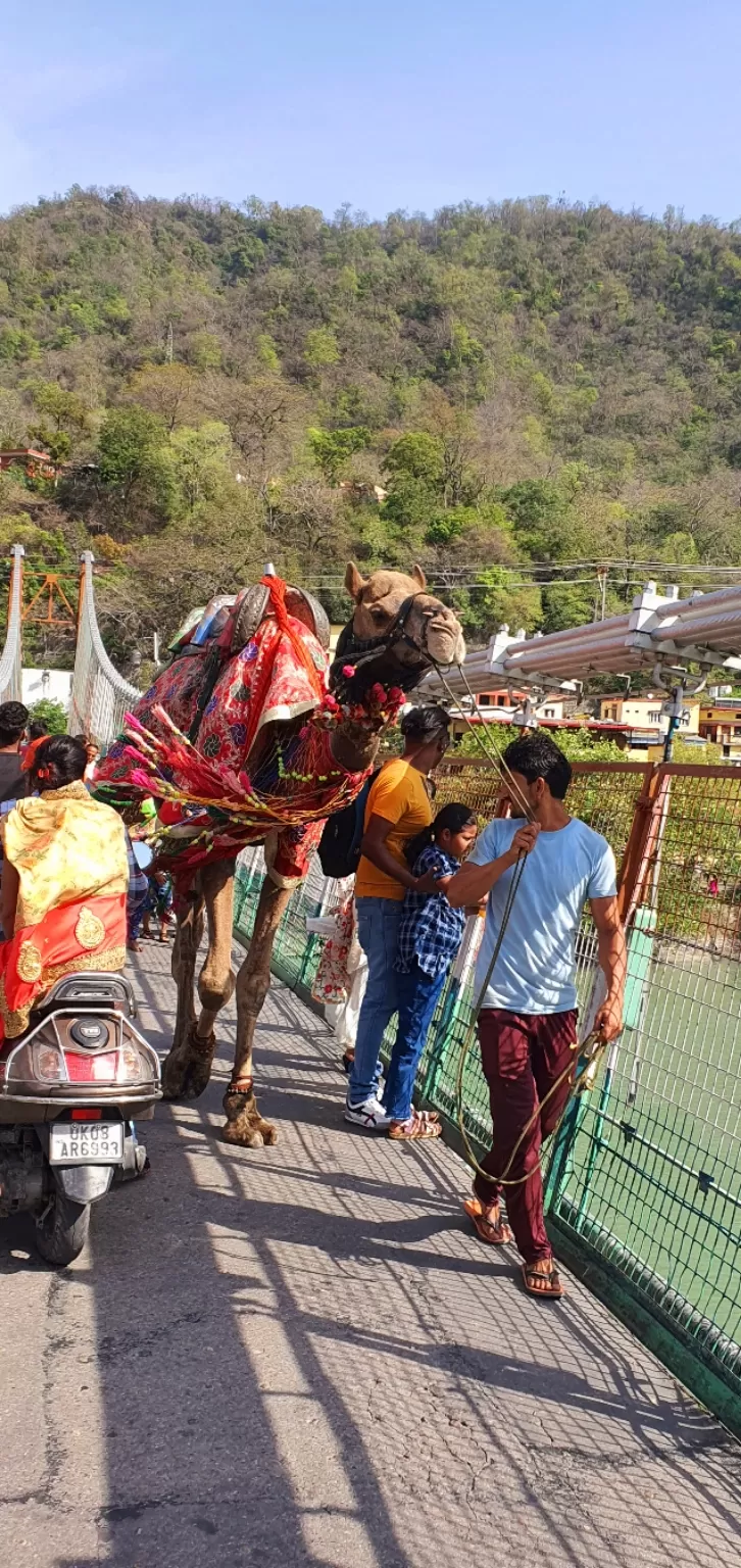 Photo of Rishikesh By Anaga Elsa Thomas