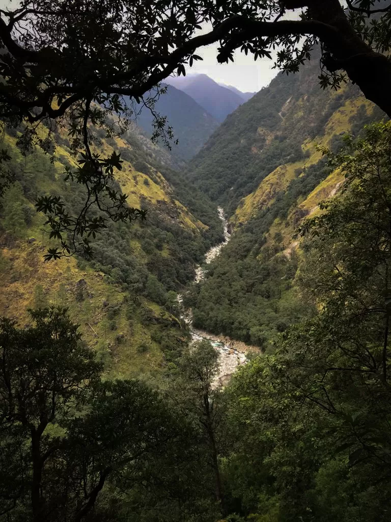 Photo of Madhyamaheshwar Temple Trek By Srimoyee Dutta