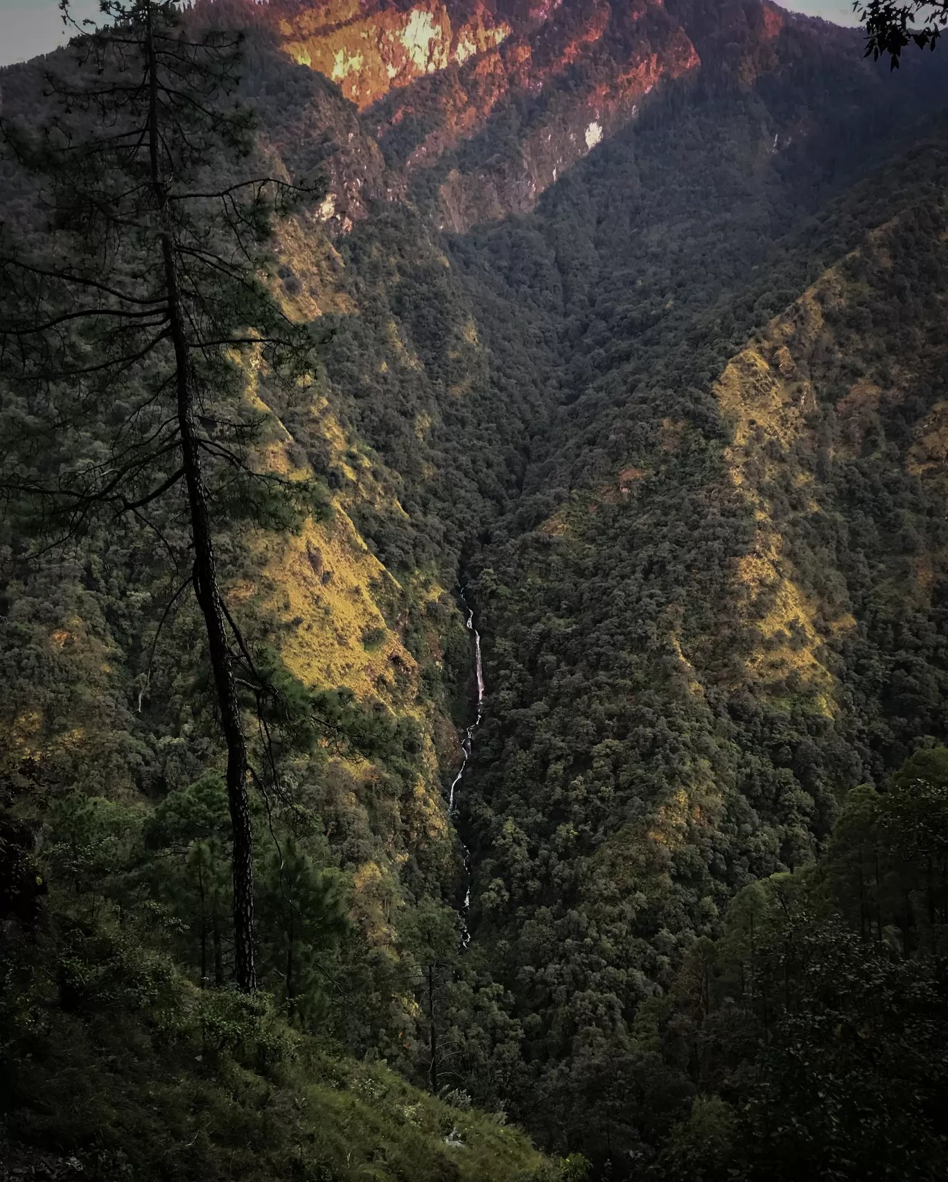 Photo of Madhyamaheshwar Temple Trek By Srimoyee Dutta