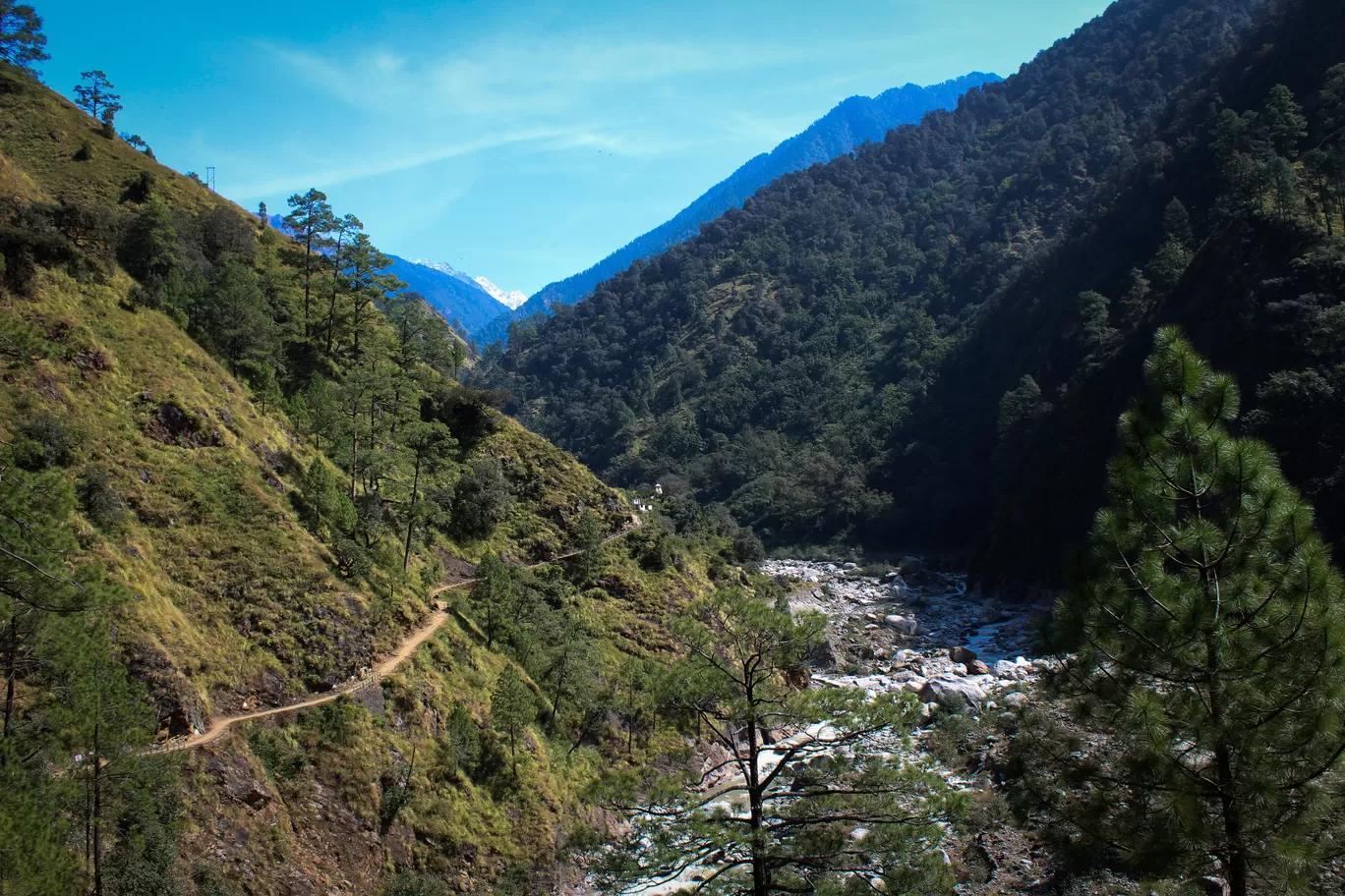 Photo of Madhyamaheshwar Temple Trek By Srimoyee Dutta