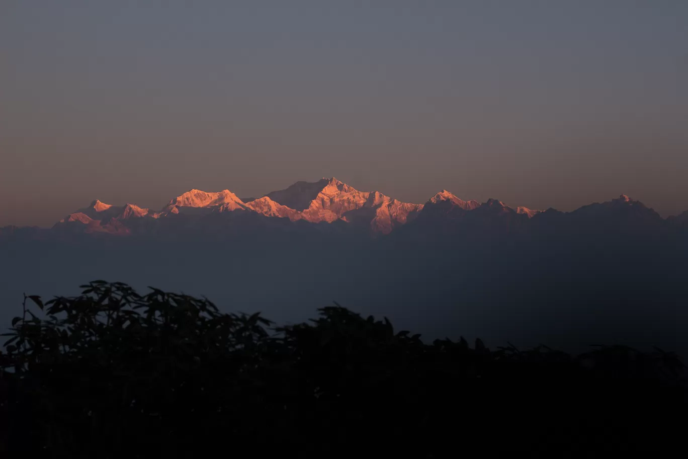 Photo of Darjeeling By Srimoyee Dutta