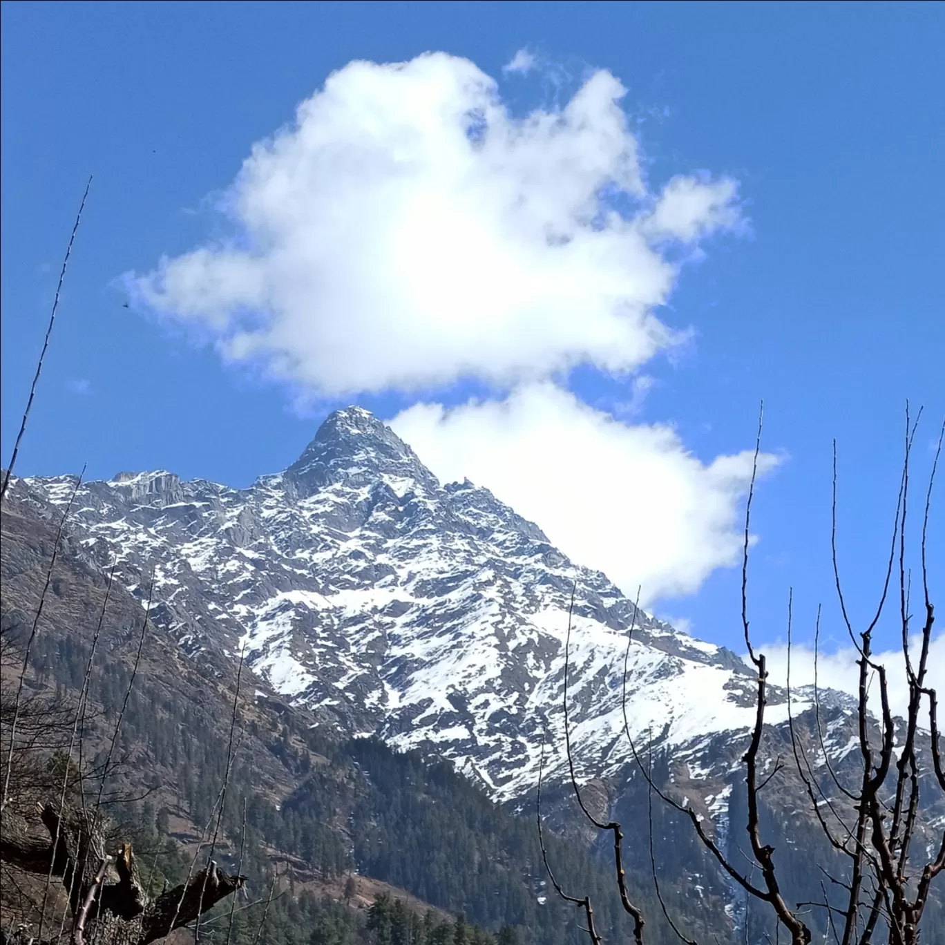 Photo of Kheerganga Trek By Nilanjan Roy