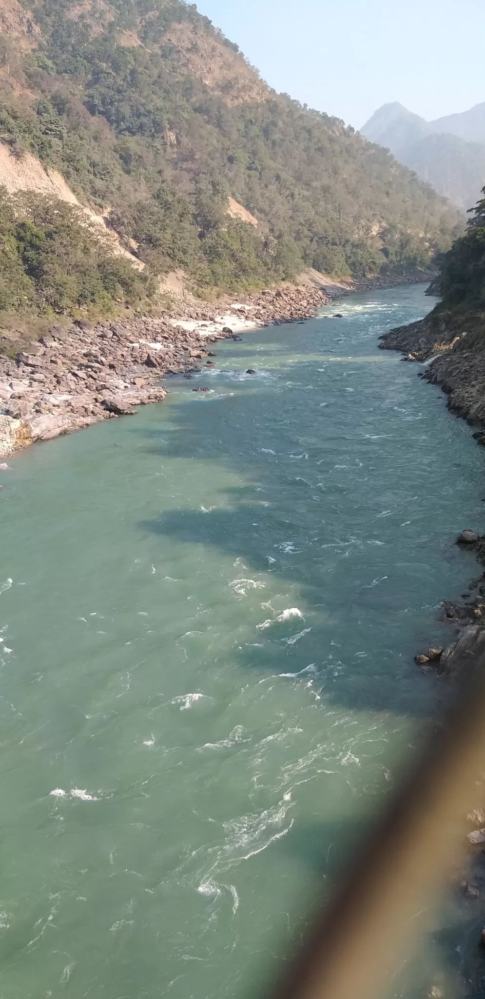Photo of Neelkanth By shalini sharma