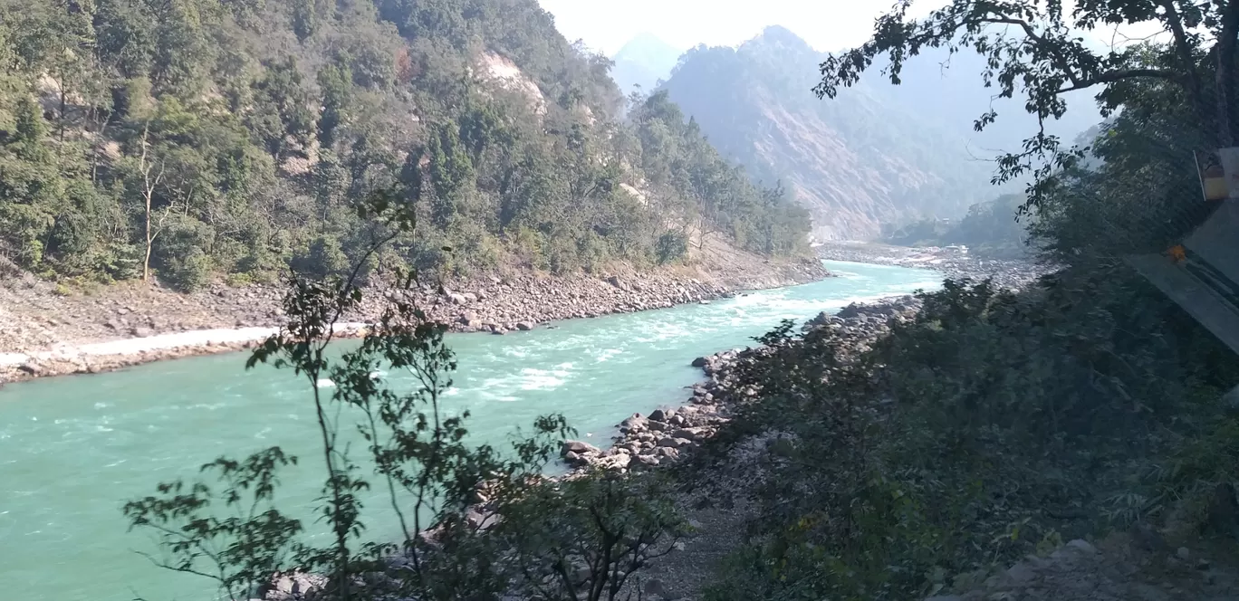 Photo of Neelkanth By shalini sharma
