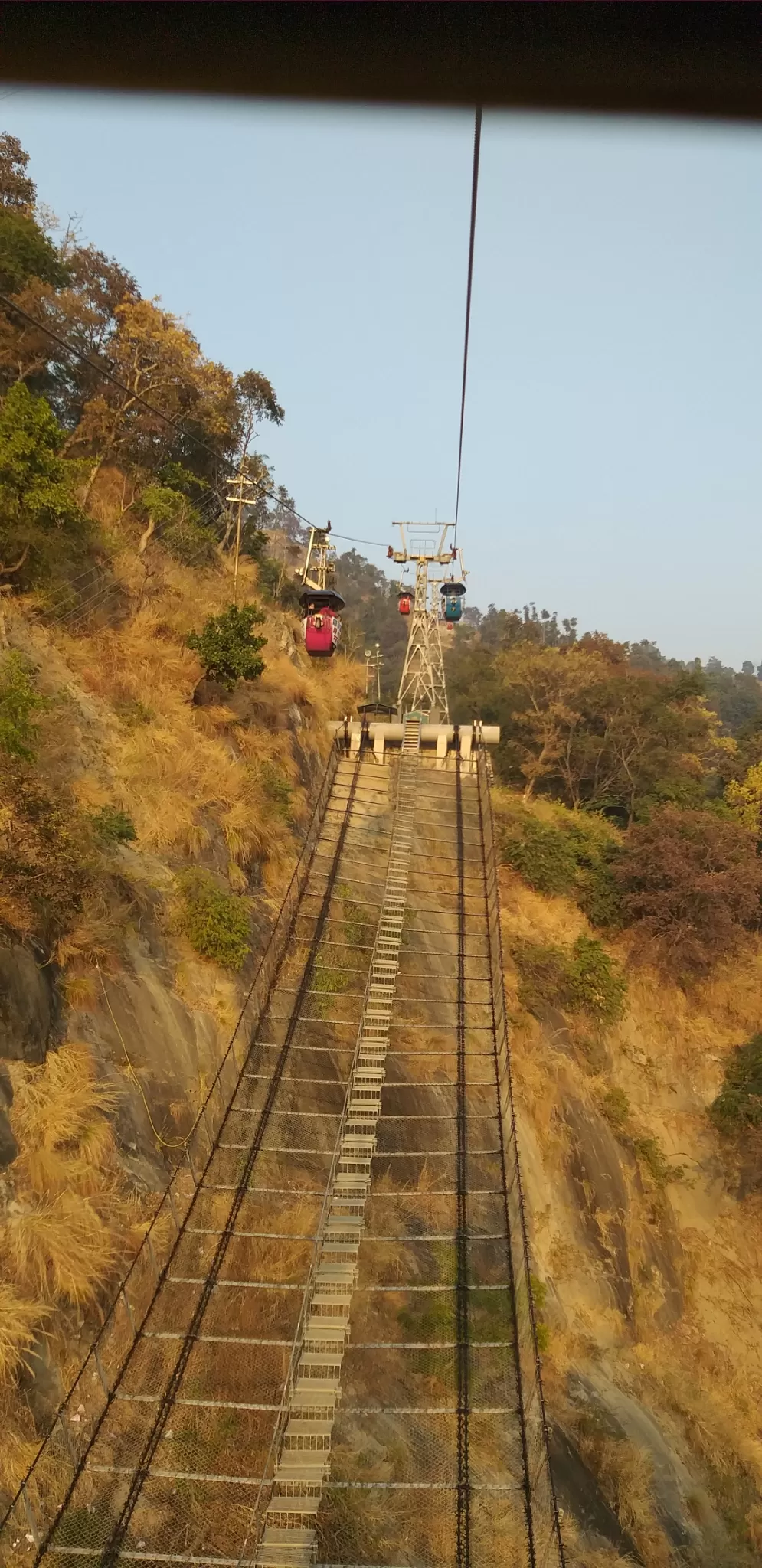 Photo of Neelkanth By shalini sharma