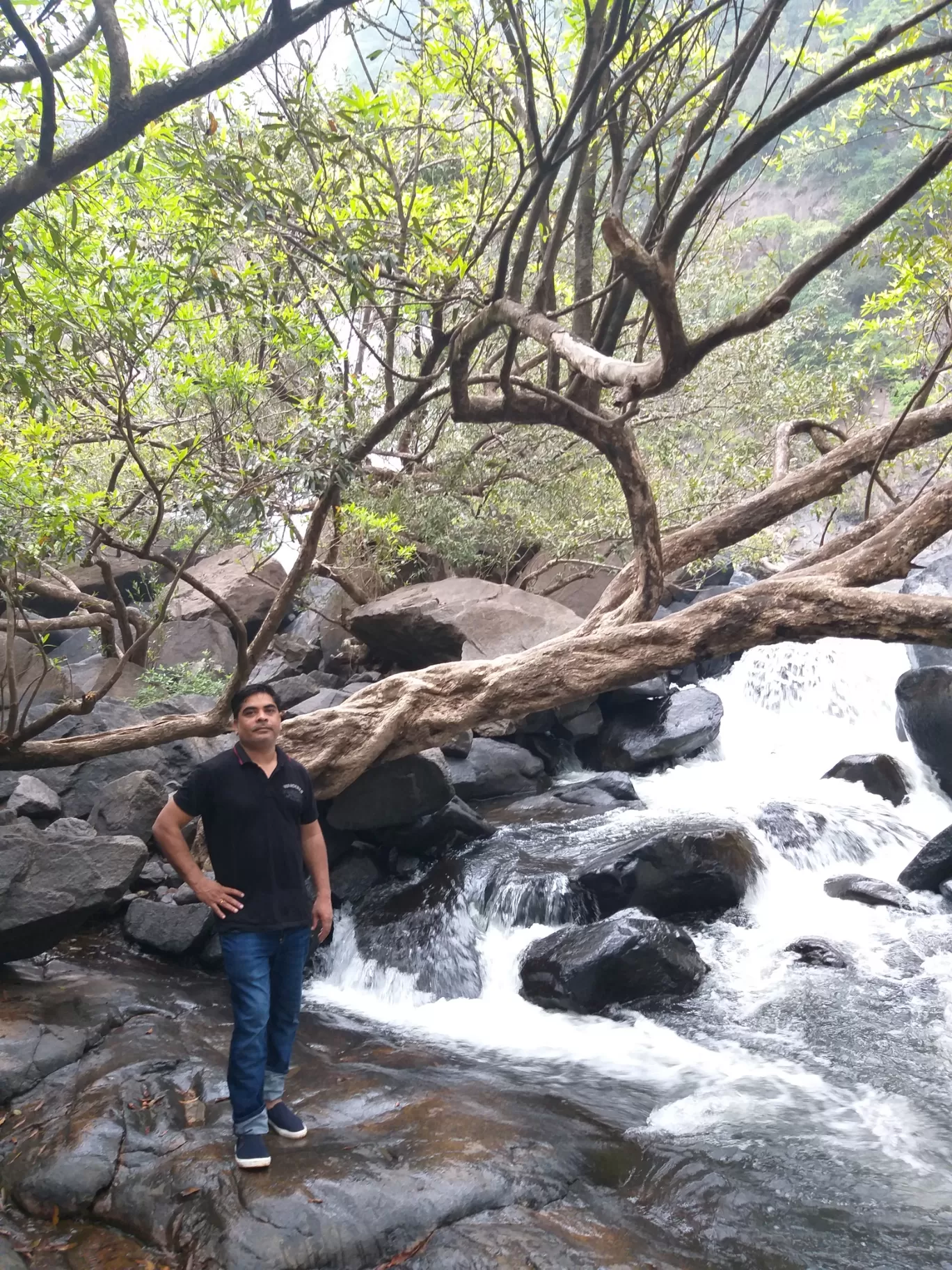 Photo of Goa By shalini sharma