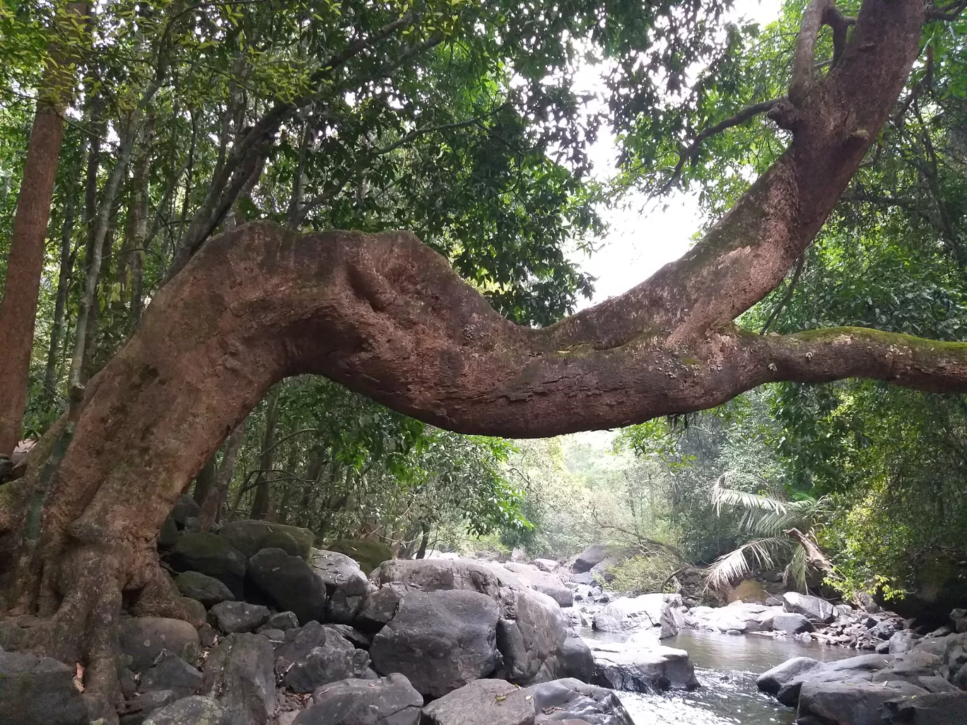 Photo of Goa By shalini sharma