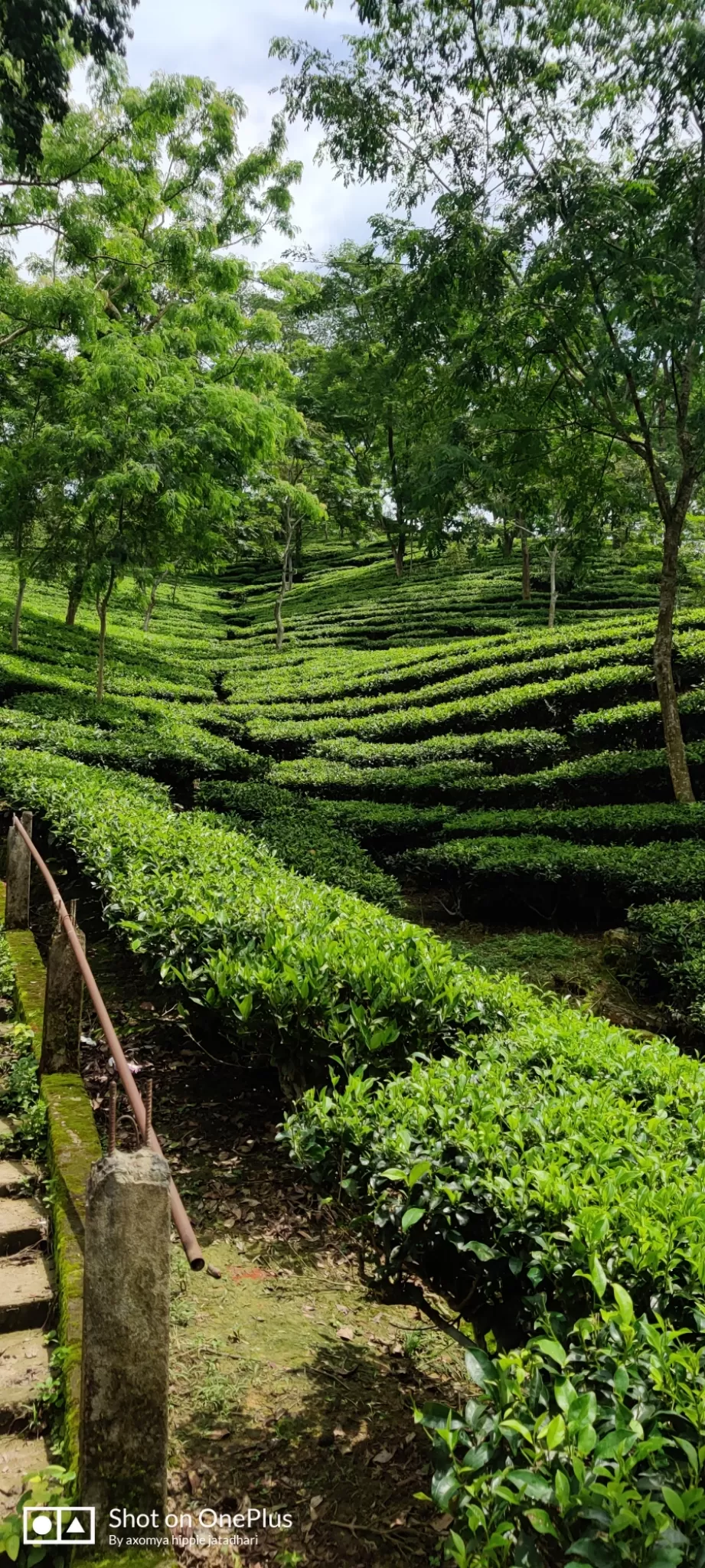 Photo of Tipam deosali hills By axomya_hippie_jatadhari