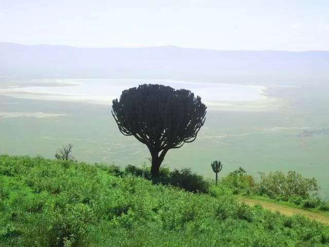 Photo of Ngorongoro Crater By Sweta Chakraborty