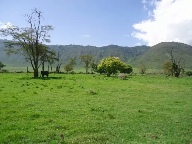 Photo of Ngorongoro Crater By Sweta Chakraborty