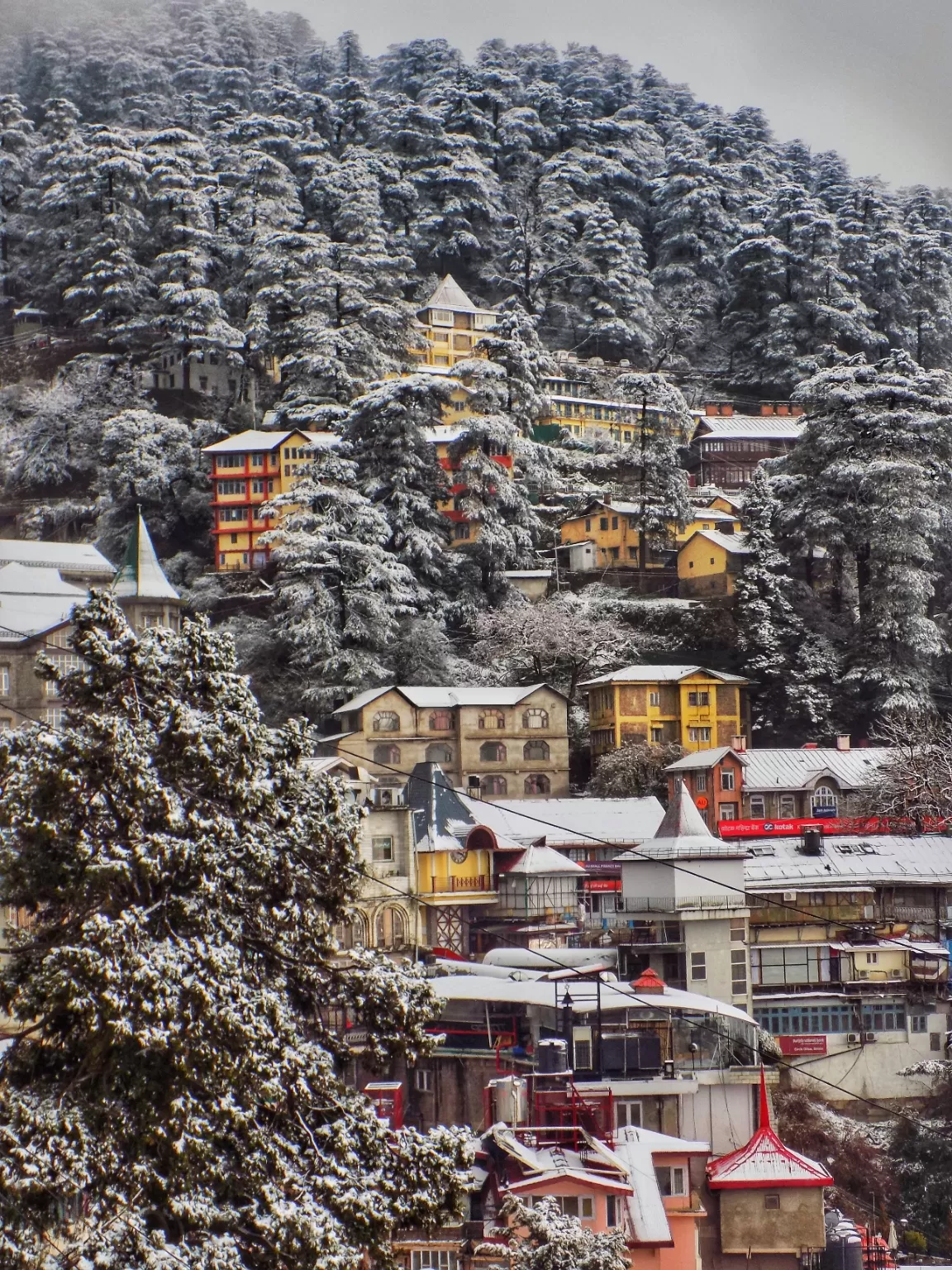 Photo of Shimla By Ayindrila Rana