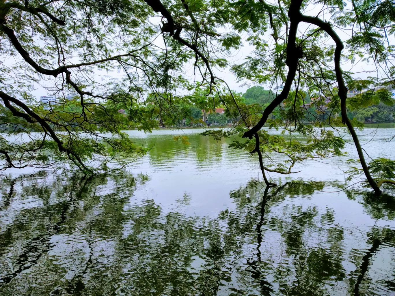 Photo of Hoàn Kiếm Lake By earth.nature.lovers