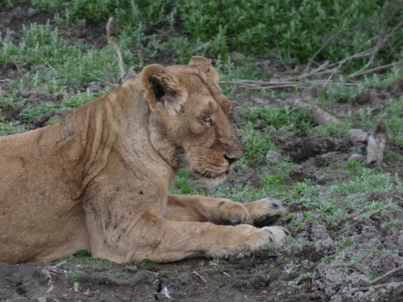 Photo of Savarkundla By Gambhir Khuman